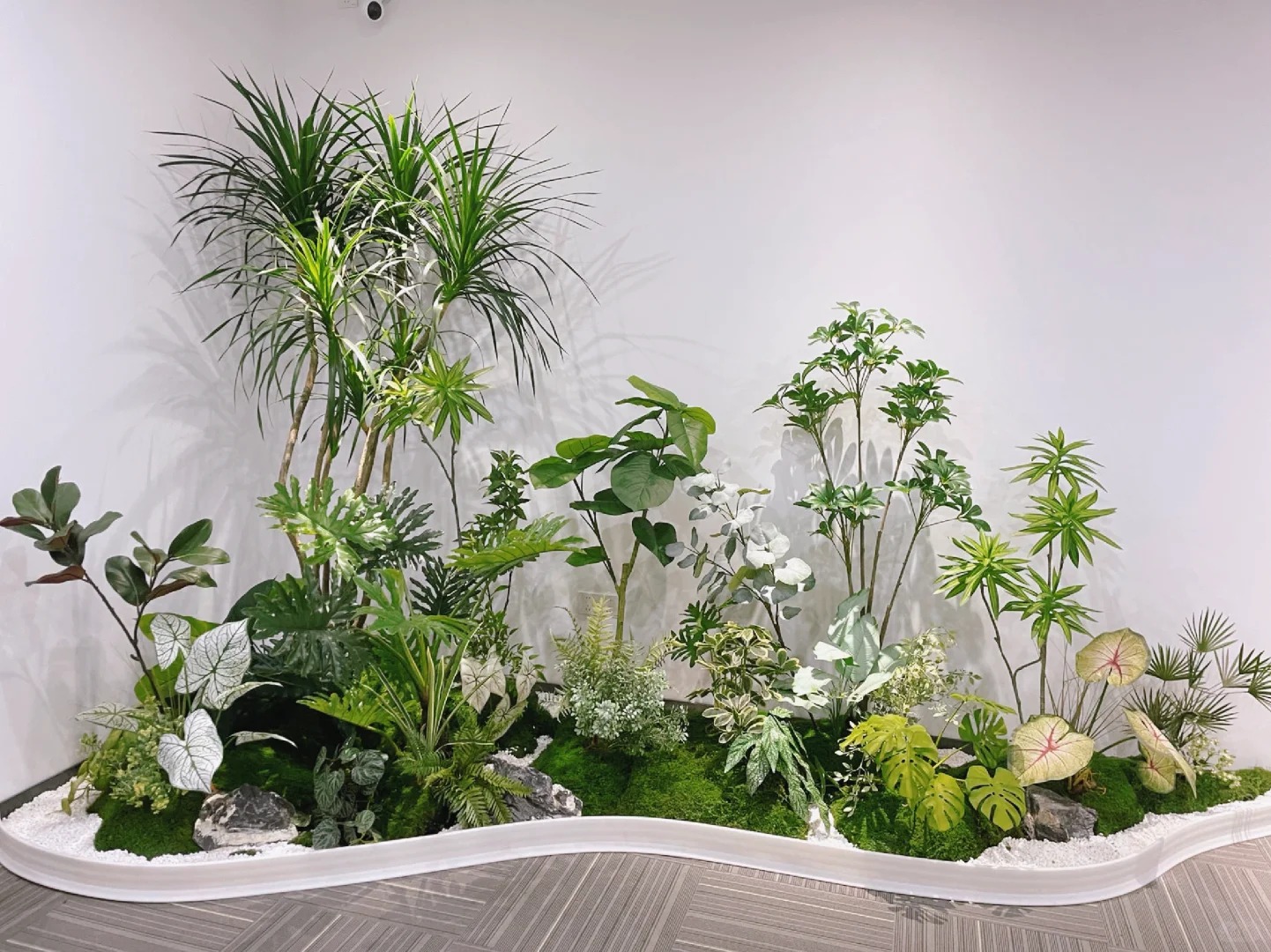 了解宁波奉化绿植租摆价格，开启绿色办公生活！